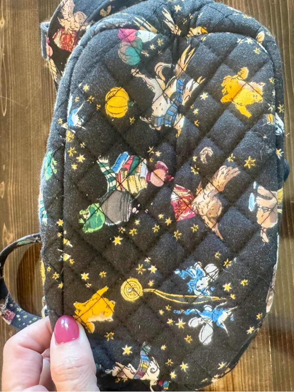 Vera Bradley Harry Potter Friends at Hogwarts Mini Quilted Backpack - Picture 4 of 10